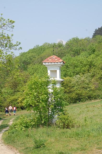 Pálava 2009